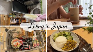 housewifes daily vlog  reset kitchen coffee frappuccino grocery shopping dried curry dinner [upl. by Bren143]