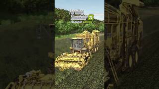 Harvesting Sugar Beet with Ropa Tiger 6 XL  Farming Simulator 25 [upl. by Ado911]