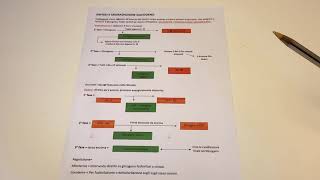 Sintesi e Degradazione del Glicogeno  Biochimica [upl. by Atteuqihc126]