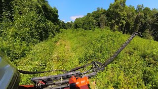 Skid Steer Sickle Bar  Trimming Kudzu Overgrown Trail [upl. by Rehc]