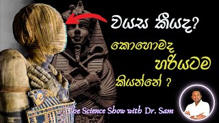 පුරාවස්තු දින නීර්ණය කරන්නේ කොහොමද  How C14 radio carbon dating works [upl. by Iroc]