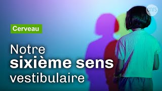 Le système vestibulaire un sixième sens méconnu  Reportage CNRS [upl. by Stormie]