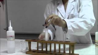 CHEMISTRY Cation Test for Ca2 using NaOH and NH4OH [upl. by Arrol505]