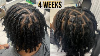 First Retwist on TwoStrand Twist Starter Locs  Talk Through  Technique  Loctician [upl. by Naux]