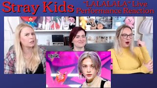 Stray Kids quotLALALALAquot Live Performance  Reaction [upl. by Annoik999]