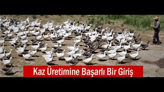 Hobi Olarak Başladı Şimdi Taleplere Yetişemiyor [upl. by Meuse281]