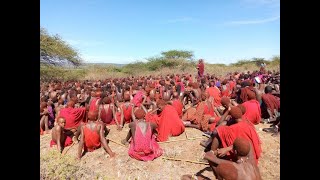 Maasai Tribe SoNo Library [upl. by Romeu]