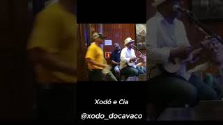 AVE MARIA  XODÓ DO CAVACO [upl. by Clyte]