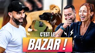 2 Chiots 1 Chat  À LAIDE  😱 ft LatelierdeRoxane [upl. by Shelley846]