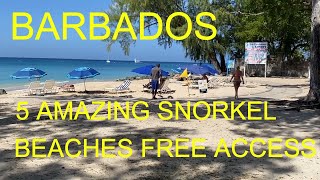 BARBADOS HOLETOWN 5 AMAZING SNORKEL BEACHES EASY OFFSHORE ACCESS [upl. by Lednik]