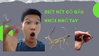 Cách Diệt Cỏ Gấu Hiệu Quả Nhất Không Cần Nhổ Tay [upl. by Notgnillew]