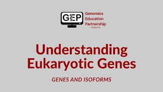 UEG  Genes and Isoforms [upl. by Yeloc]