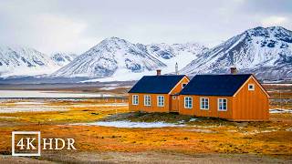 Svalbard Life at the EDGE of the World  A Remote Arctic Island with 3000 People and Polar Bears [upl. by Joana]