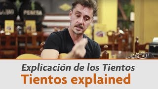 Tientos explained  Paco Serrano [upl. by Ecnaled678]