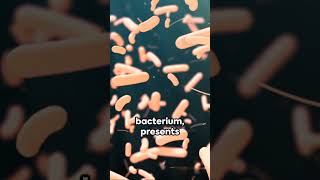 Bacterial diseases in Humans [upl. by Nij433]