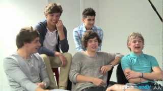 Your One Direction Interview [upl. by Kcirddor]