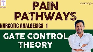 Pain Physiology Malayalam Pain Pathways Analgesics Malayalam Gate Control Theory Narcotic Analgesics [upl. by Mihcaoj]