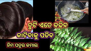 ପୁରା magical Hair Growth remedy 😍100 Guranteed 😍ନିମ୍ବ ପତ୍ରର କମାଲ mbj vlogger [upl. by Yelroc]