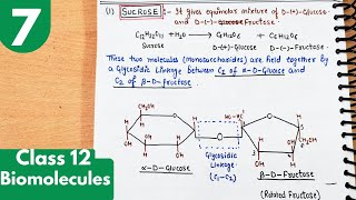 7 Structure of Sucrose Glycosidic linkage Invert sugar Disaccharides Biomolecules class12 [upl. by Junno]