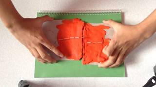 Simulation Plate Boundaries [upl. by Hgielhsa]