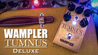 Wampler Tumnus Deluxe [upl. by Eralcyram773]