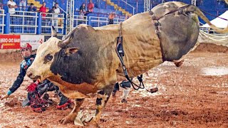 MENINO DA PECUÁRIA Cia NA Bulls  MELHOR TOURO de PACAEMBU 2024 [upl. by Saffian]