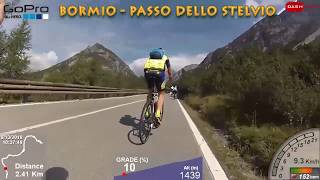 GoPro Passo dello Stelvio da Bormio in bici da corsa con telemetria [upl. by Yhtommit]