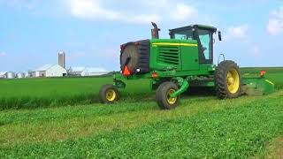 Mowing Hay near Maria Stein Ohio with a John Deere R450 windrower [upl. by Eiramnna877]