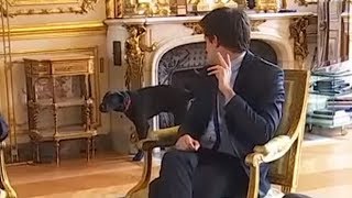 Emmanuel Macron’s dog urinates in fireplace during meeting [upl. by Zobias980]