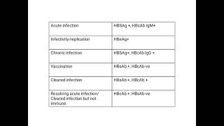 Hepatitis B serology [upl. by Ihtak]