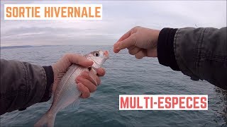 MULTIESPÈCES en sortie HIVERNALE entre SÈTE et FRONTIGNAN [upl. by Enidualc]