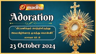 🔴 LIVE 23 October 2024 Adoration 1100 AM  Madha TV [upl. by Elsilrac228]