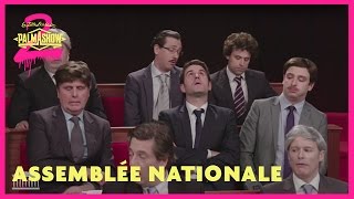 Lassemblée nationale  Palmashow [upl. by Suollecram]