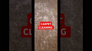 Carpet Cleaning With Baking Soda and Vinegar and Water Only 🌞👍 [upl. by Norek689]