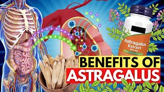 Take Astragalus Root Everyday And See How It Benefits Your Body [upl. by Staford]