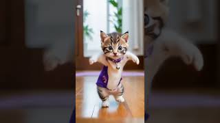 Cute cat dancecute cat 😺😺funny shorts videotrending [upl. by Acinoed]