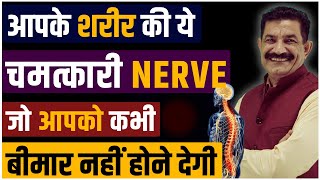 Body Healing Techniques Never Fall Sick Again करो ACTIVATE अपनी इस जादुई NERVE को  Ram Verma [upl. by Asta]