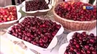 LES CERISES DE TLEMCEN [upl. by Yonina]