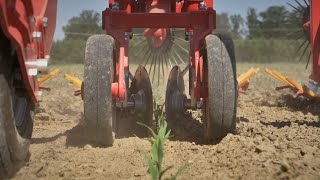 Hackgerät in Mais  Rowcrop cultivator in corn  Bineuse CHOPSTARTWIN  EINBÖCK Shortclip 13 [upl. by Alekram426]