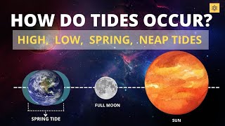 How Do Tides Occur Low tide High Tide Spring Tide Neap Tide [upl. by Adanama]