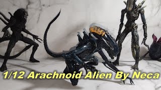 112 Arachnoid Alien NECA [upl. by Aros]