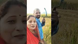 Gori hai kalaiyan song bollywood [upl. by Apgar]