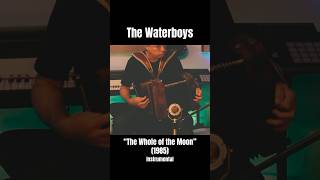 The Waterboys  quotThe Whole of the Moonquot 1985 instrumental cover [upl. by Uohk]