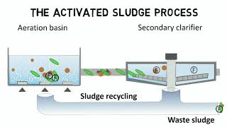 Activated sludge process and IFAS  Design rules  guideline [upl. by Dragoon]