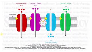 Receptor Pharmacology  What is Receptor  Receptors in Pharmacology  Classification of Receptors [upl. by Sirc]