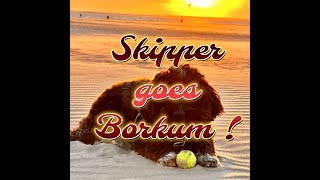 Skippy goes Borkum Pics [upl. by Riatsila]