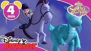 Magical Moments  Sofia the First Crackle The Dragon  Disney Junior UK [upl. by Rochette]