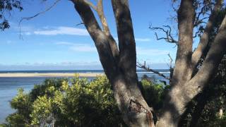 Mallacoota Foreshore Holiday Park  Mallacoota Victoria [upl. by Alphonso977]