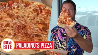 Barstool Pizza Review  Paladinos Pizza Syracuse NY [upl. by Rumney582]