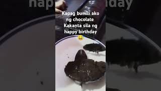 Chocolate chocolatecake lovers yummyfood daylinehermosochannel funny [upl. by Anoit998]